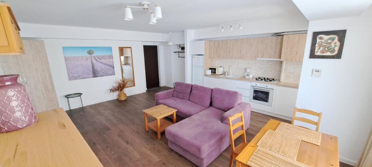 C&Y Zev Apartments Mamaia Extérieur photo